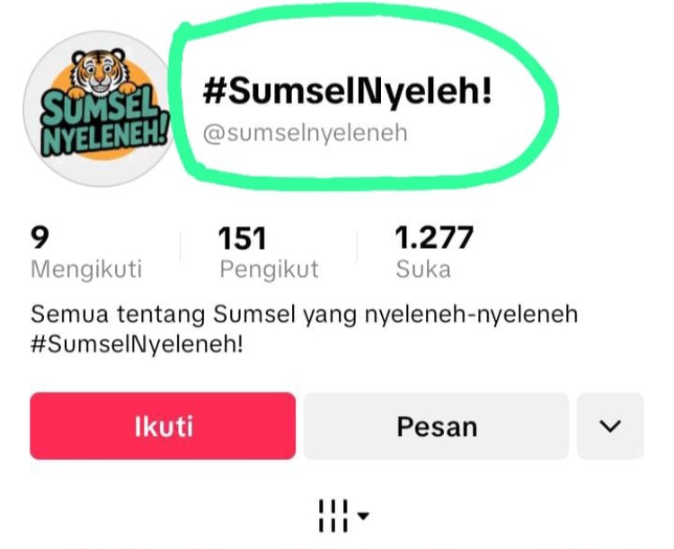 Anak Diseret ke Pusaran Hoaks, PPAM Indonesia Kecam Keras Konten “Sumsel Nyeleneh”
