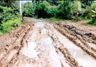 Warga Desak Untuk Insfratruktur Jalan Yang Layak Segera Direalisasikan.