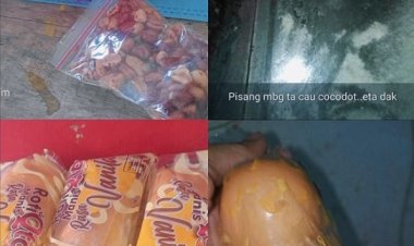 Dugaan Ketidaksesuaian Menu MBG : Dapur MBG Kampung Duraen Kecamatan Wanasalam Mengundang Keprihatinan dari Kabiro Hukum Pendekar Banten