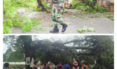 Tindakan Sigap Danramil 0106/Menes Dandim 0601/Pandeglang Datangi TKP Pohon Tumbang Dan Eksekusi 