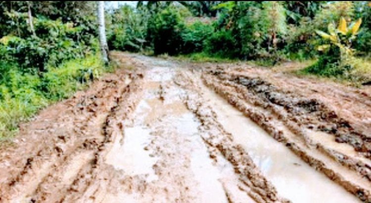 Warga Desak Untuk Insfratruktur Jalan Yang Layak Segera Direalisasikan.
