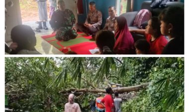 Sikap Tanggap Danramil 0106/Menes Bantu Evakuasi Pohon Tumbang timpa Rumah Warga.