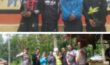 Villa Emas Gunung Pulosari Alternatif Wisata, Utamakan Pendaki Menanam Pohon Diatas Gunung Pulosari 