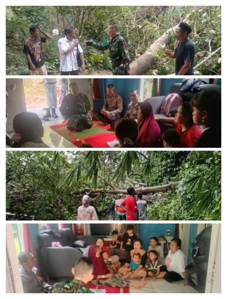 Sikap Tanggap Danramil 0106/Menes Bantu Evakuasi Pohon Tumbang timpa Rumah Warga.
