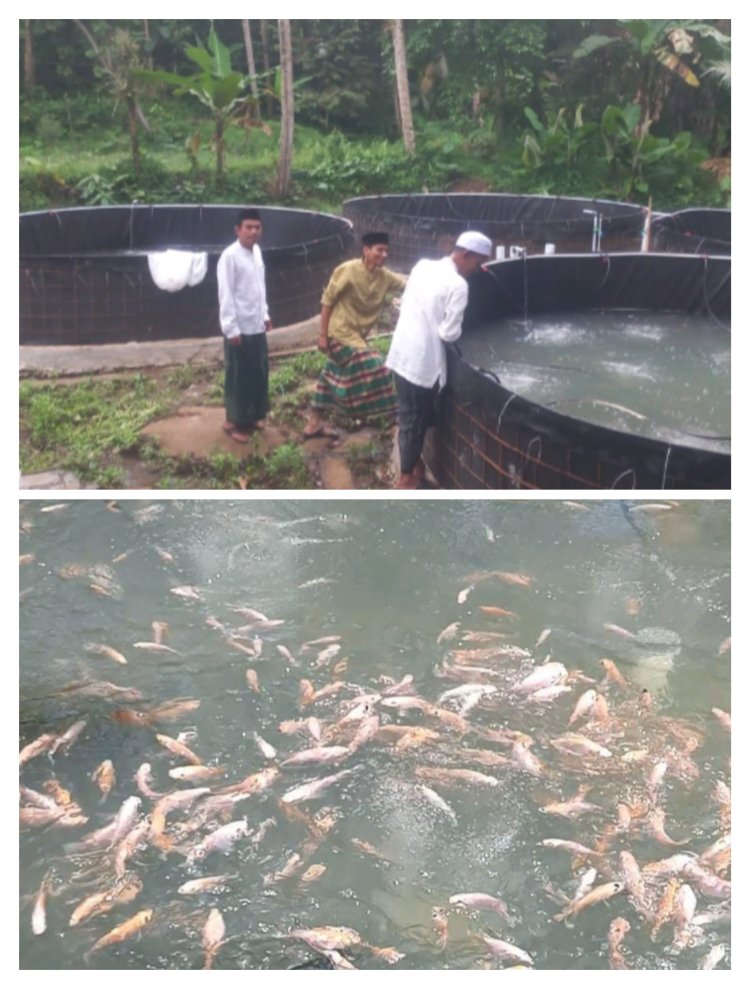 Kegiatan BUMdes Didesa Ciandur Terus Berkembang 