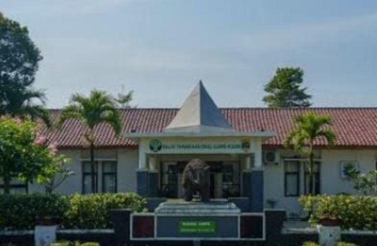 Sikap "Angkuh" Kepala Balai TNUK Saat Dikonfirmasi Soal Kasus Penebangan Pohon Kecapi, Diduga Anggap Remeh Wartawan