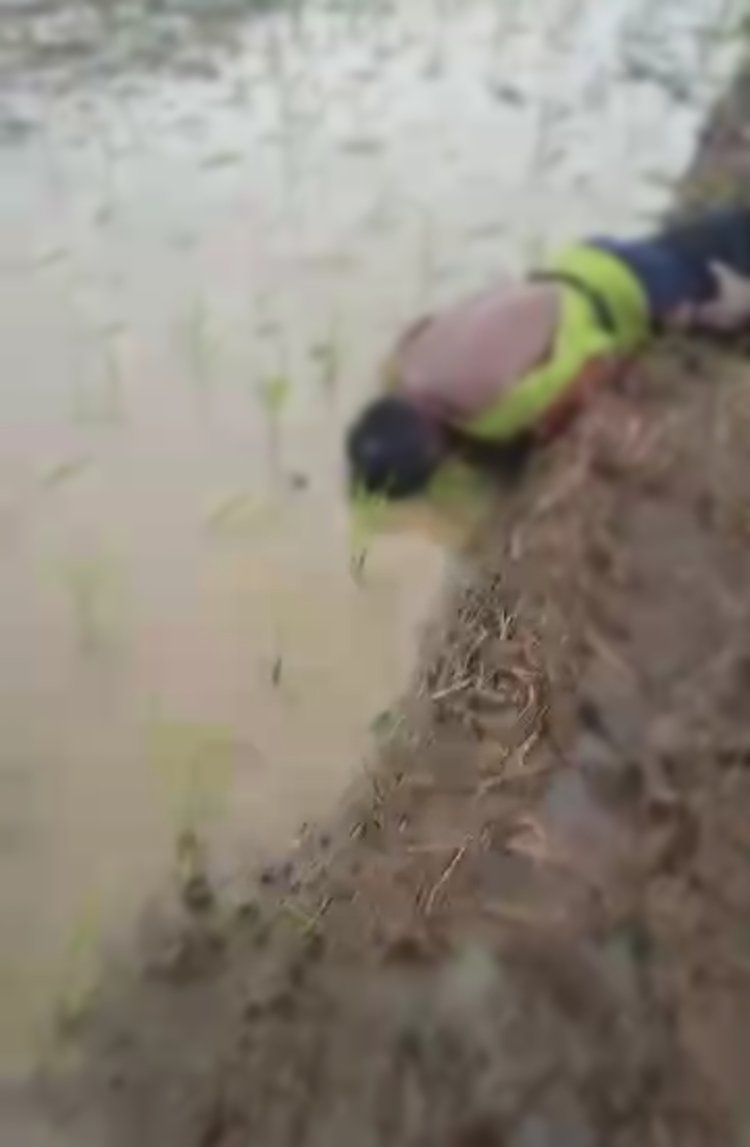 Seorang Petani Kampung Pesanggrahan Desa Sobang Tersambar Petir di Sawah 
