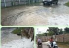 LIMBAH TAMBAK UDANG DI CINIBUNG KERTAJAYA DIDUGA BANJIRI JALAN RAYA, WARGA KELUHKAN GANGGUAN DAN RISIKO KESEHATAN