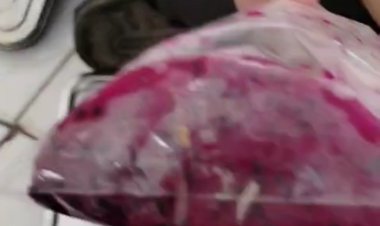 Diduga Langgar SOP BGN, DPC AMIRA Minta BGN Tindak Tegas SPPG Banyubiru Labuan Pandeglang