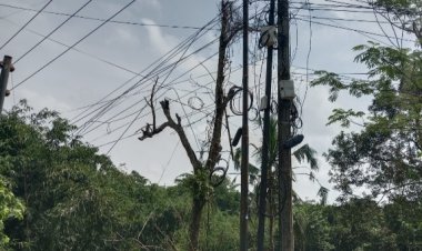 Tiang Listrik PLN Dipenuhi Kabel Wi-Fi, GOW-Banten Curiga Ada Pembiaran Berkepanjangan