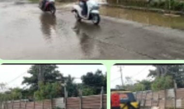 GWI Gabungnya Wartawan indonesia, Berapa Meter Jarak Tambak Udang dari Jalan Raya Menurut Aturan?