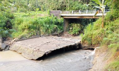 Plang Air Irigasi Ciliman Jebol, Ribuan Hektare Sawah di Lebak dan Pandeglang Terancam Gagal Panen