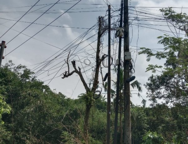 Tiang Listrik PLN Dipenuhi Kabel Wi-Fi, GOW-Banten Curiga Ada Pembiaran Berkepanjangan