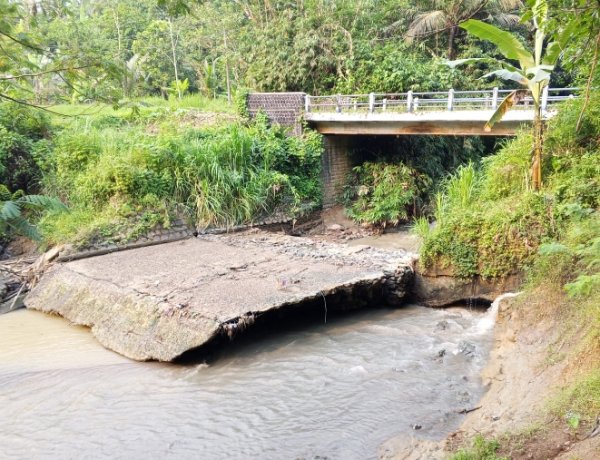 Plang Air Irigasi Ciliman Jebol, Ribuan Hektare Sawah di Lebak dan Pandeglang Terancam Gagal Panen