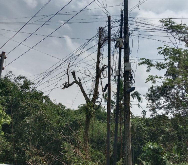 Tiang Listrik PLN Dipenuhi Kabel Wi-Fi, GOW-Banten Curiga Ada Pembiaran Berkepanjangan