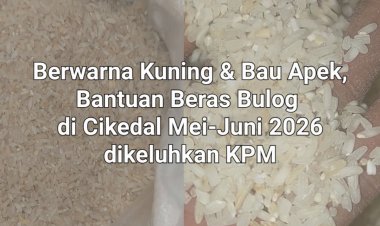 Beras Bantuan Pemerintah Melalui Bulog Periode Mei-Juni 2026 di Cikedal Pandeglang, Berwarna Kuning Juga Apek, Dikeluhkan KPM