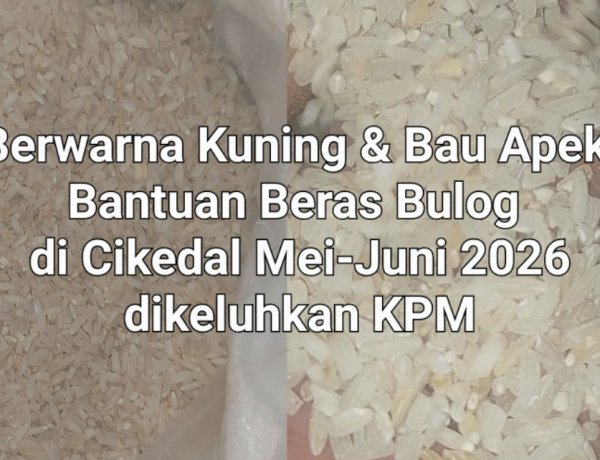 Beras Bantuan Pemerintah Melalui Bulog Periode Mei-Juni 2026 di Cikedal Pandeglang, Berwarna Kuning Juga Apek, Dikeluhkan KPM