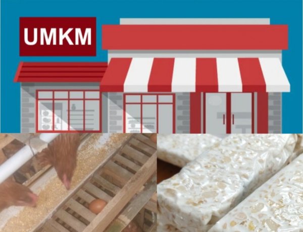 UMKM Industri Tempe Yang Pasok Ke SPPG Cening 03 Yayasan Leuit Bumi Pertiwi Babakanlor Dukung Keberlanjutan Program MBG