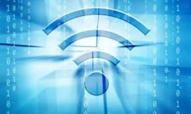 DPC AMIRA Minta PT. PLN ULP Labuan Lakukan Penindakan Kepada PT. Aurora Sentral Informatika yang Pasang Kabel Wifi Pada Tiang Listrik