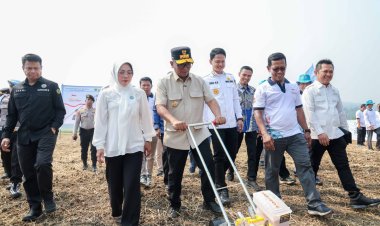 Gubernur Andra Soni Dorong Kolaborasi Wujudkan Swasembada Pangan Saat Panen Raya Padi Organik PS-08