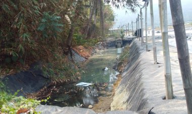 Kangkangi Peraturan Lingkungan Hidup, Perusahaan Tambak Udang di Desa Sukarame Disoal
