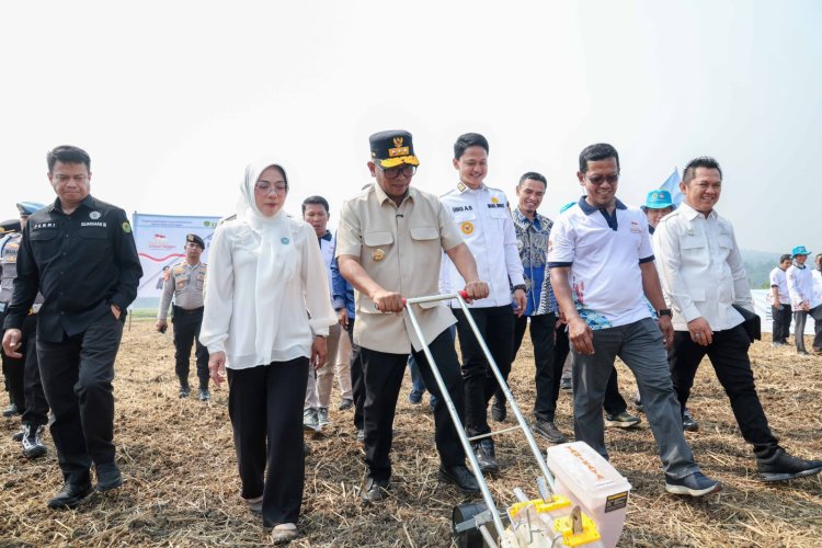Gubernur Andra Soni Dorong Kolaborasi Wujudkan Swasembada Pangan Saat Panen Raya Padi Organik PS-08