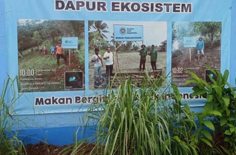 KSPPG Kabur Tinggalkan Tugas, SPPG Pandeglang Majasari Sukaratu 06 Berhenti Operasional, DPC AMIRA Minta Korwil dan Kareg Segera Lakukan Penggantian